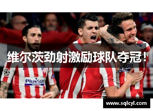 维尔茨劲射激励球队夺冠！